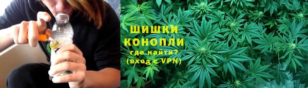 тгк Бронницы